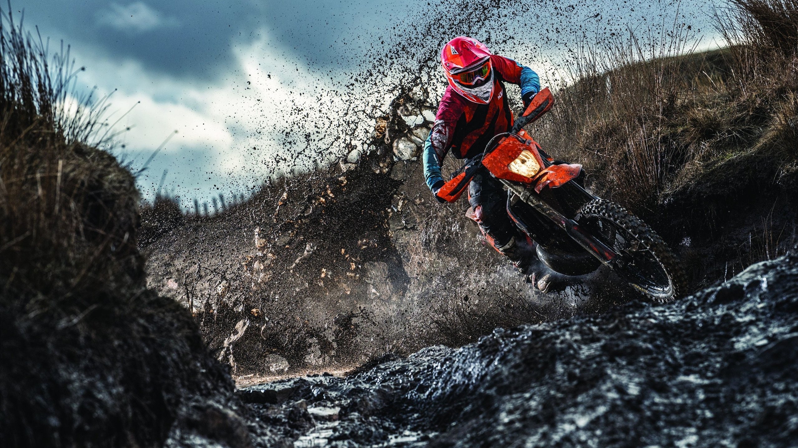 智利风暴席卷红牛竞技场,佩德里用绝杀与高光,诠释足球的南美灵魂与欧洲躯壳